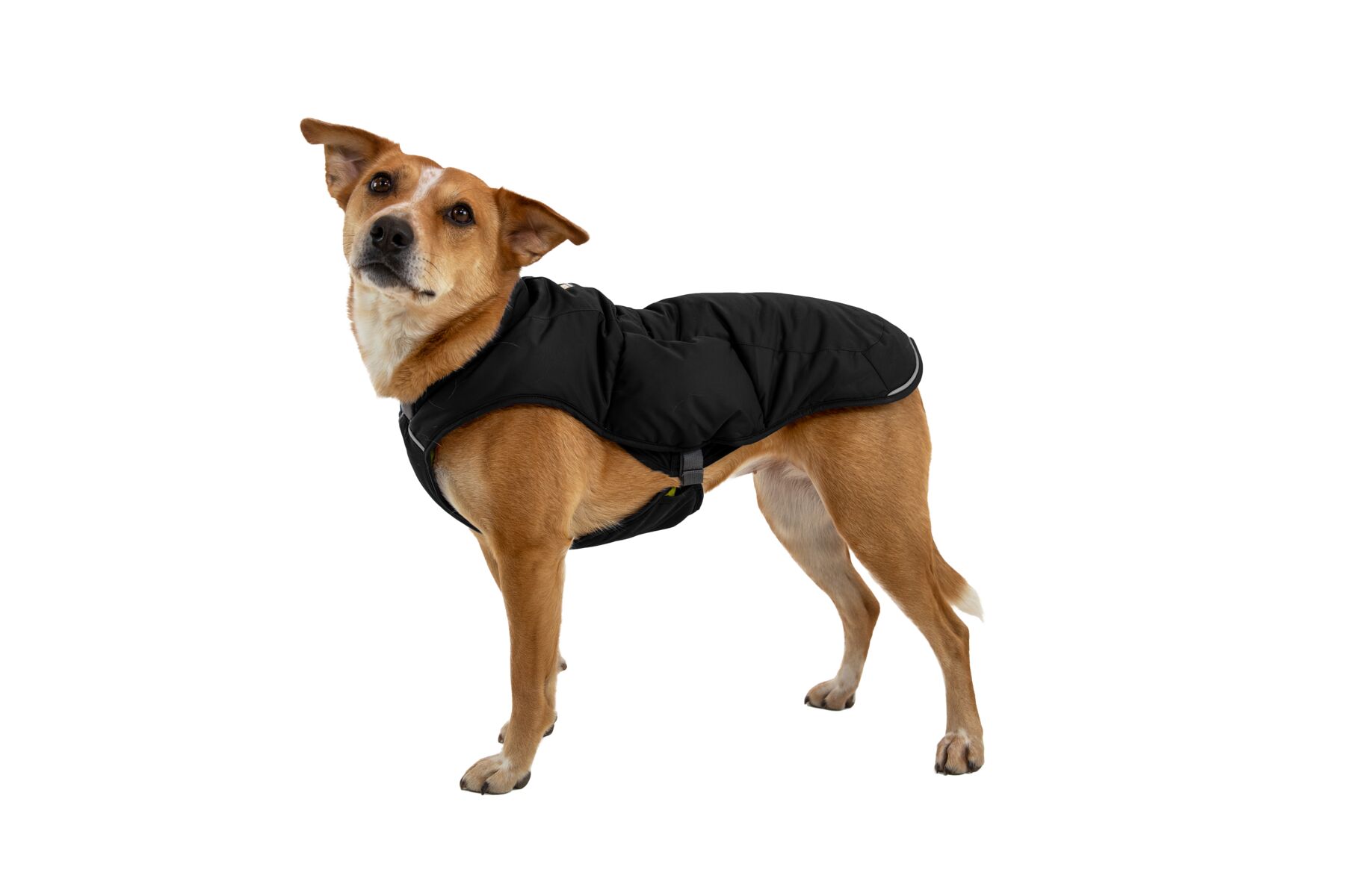 Ruffwear Quinzee™ Insulated Jacket Obsidian Black