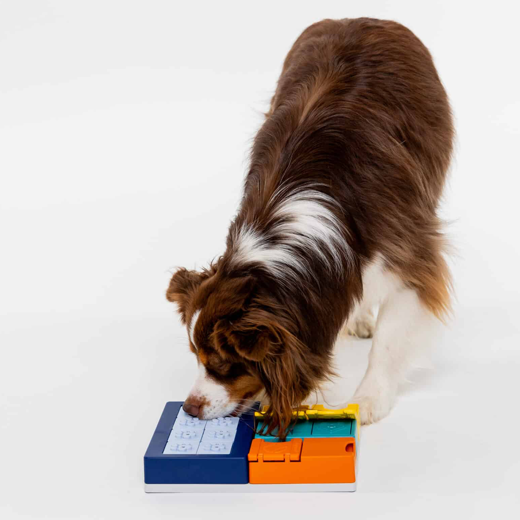 Pawzler interaktives Hundepuzzle - Smarty set - Level 2-3