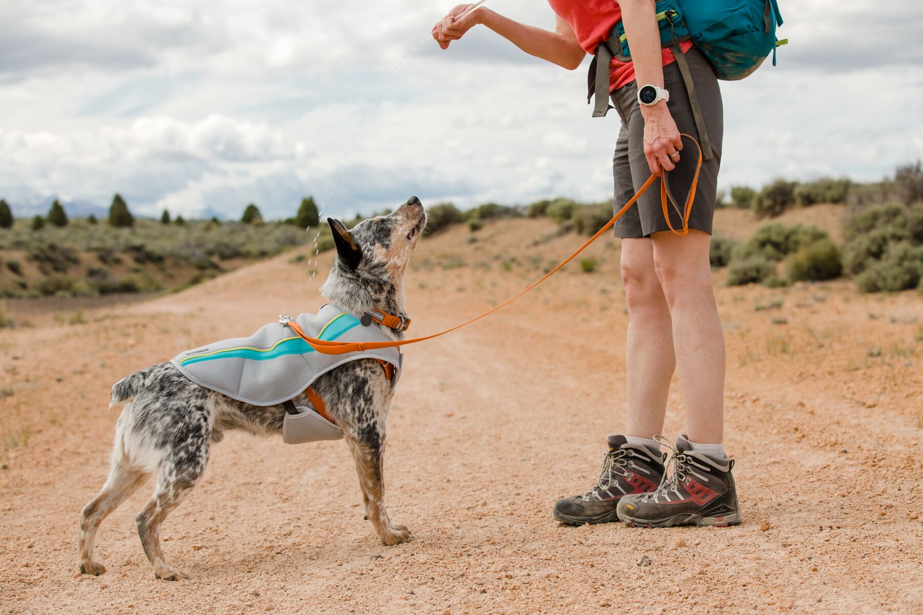 RuffWear Front Range™ Leash (one size)