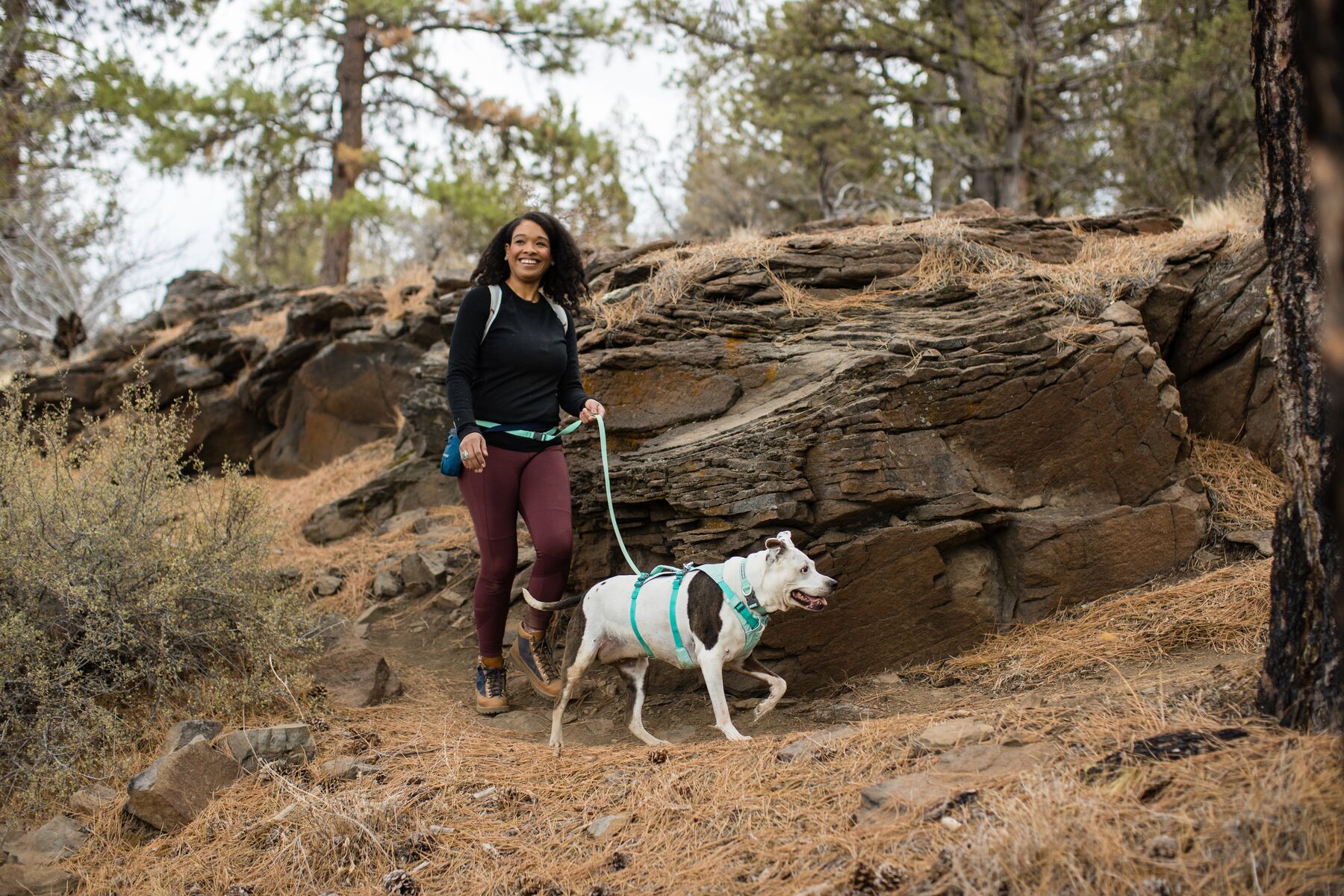 RuffWear Flagline™ Harness Sage Green