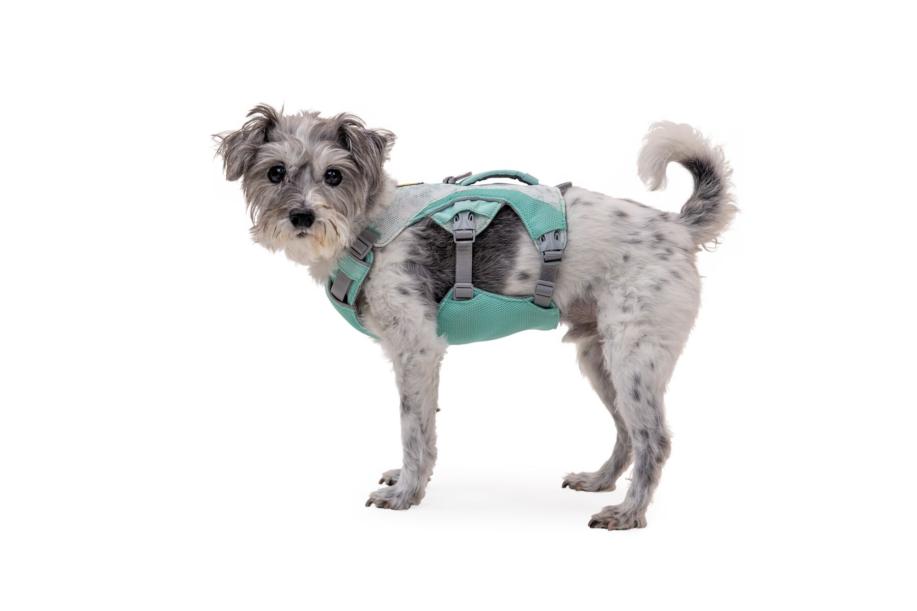 RuffWear Swamp Cooler™ Harness Sage Green