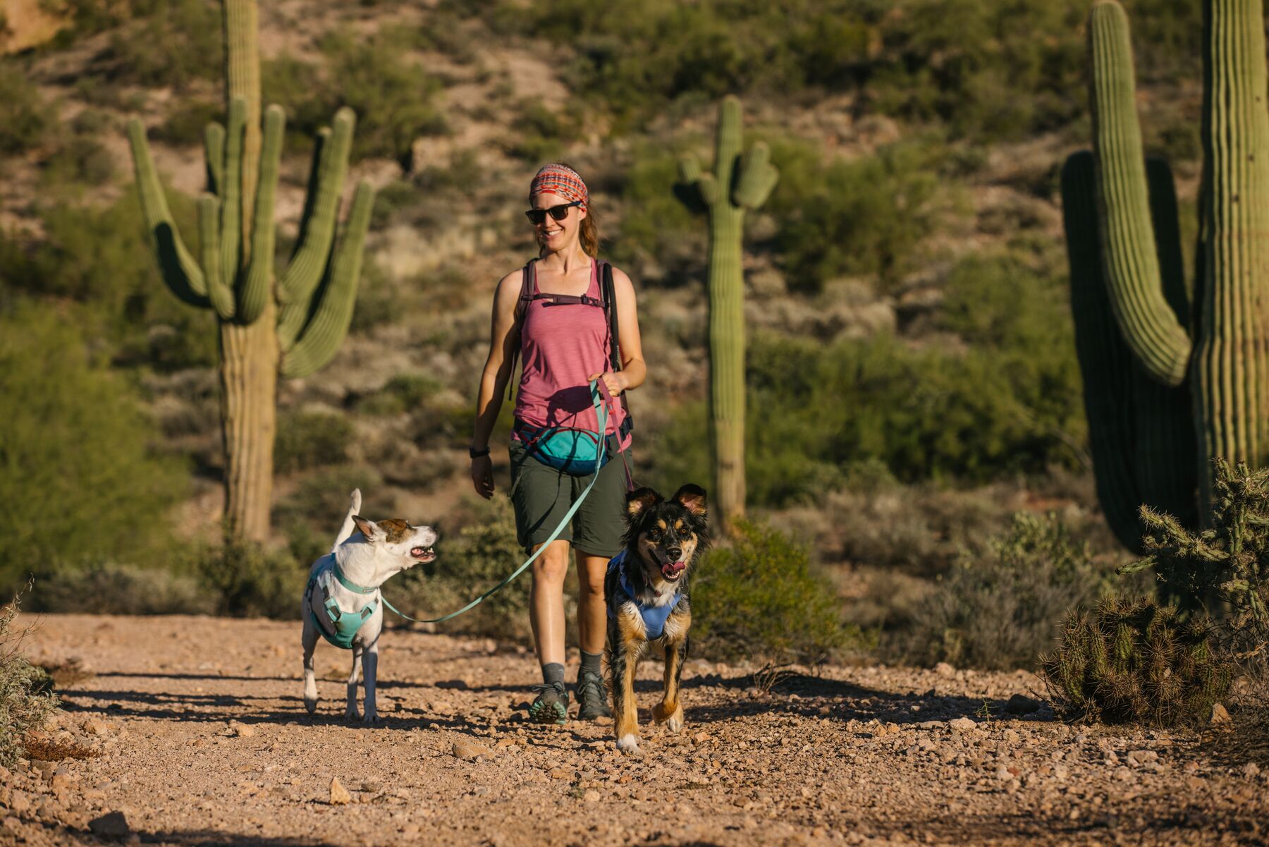 RuffWear Swamp Cooler™ Harness Sage Green