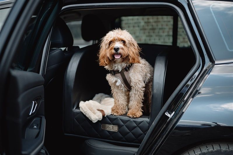 Dogstyler Autositz Comfort Classic schwarz