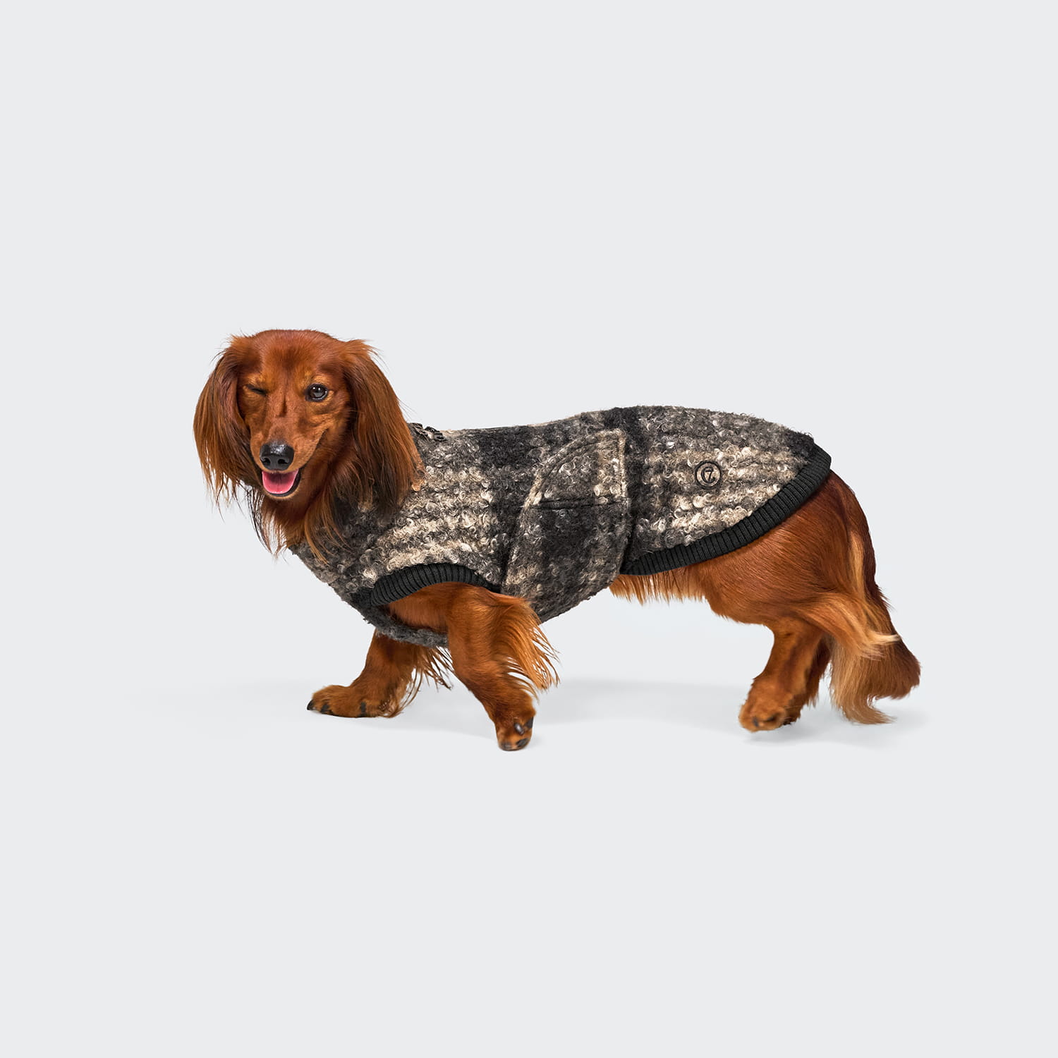 Cloud7 Hundepullover Gotland Tartan Dackel sandy brown/anthra