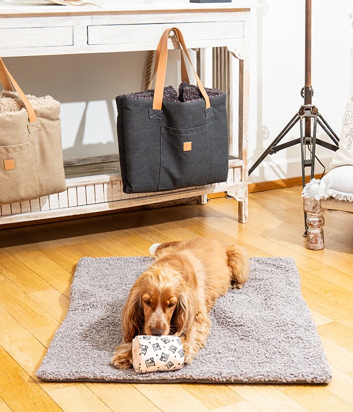 Pet & Co. Travel Mat Aventura