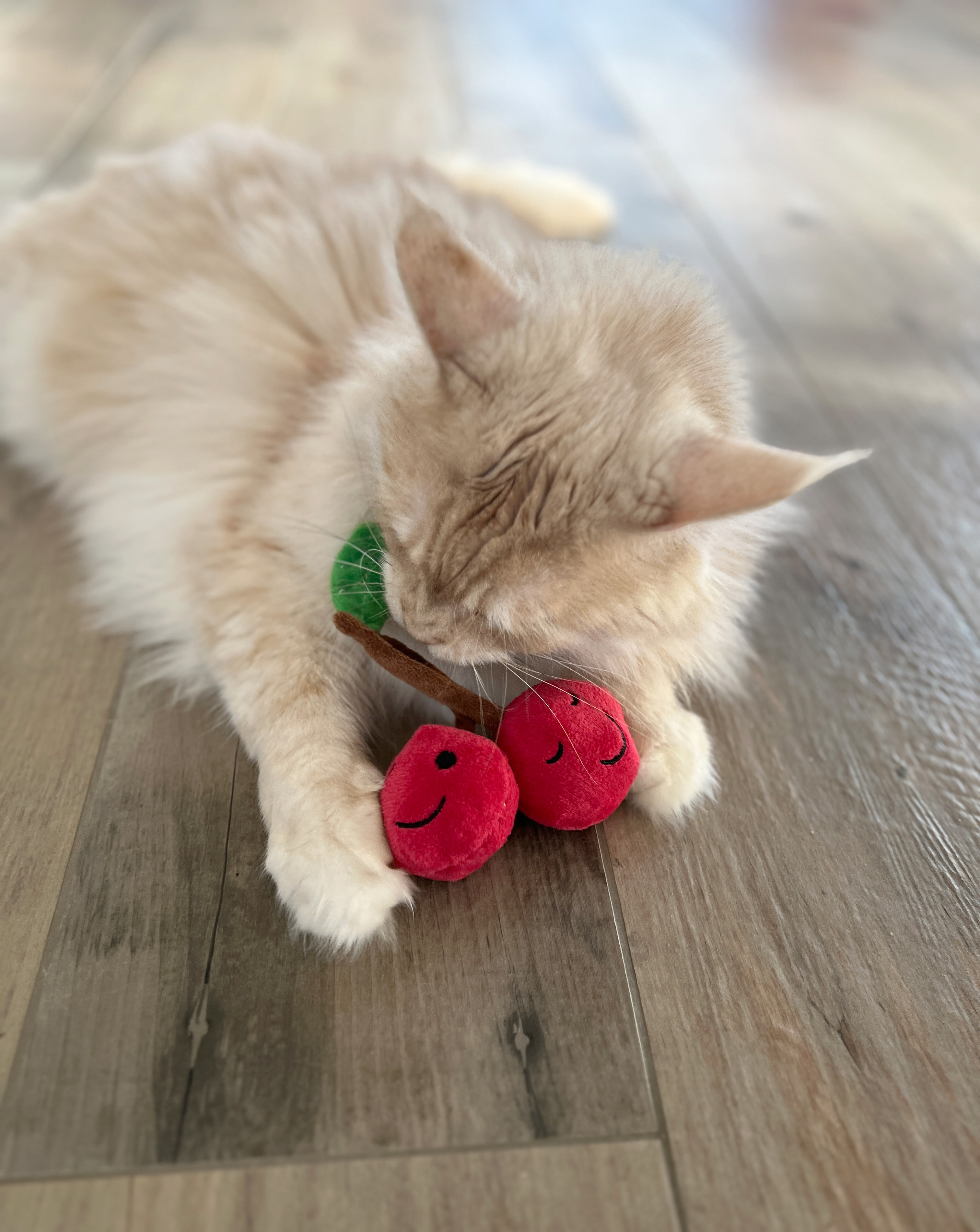 Aumüller Katzenspielzeug Kuschelkirschen