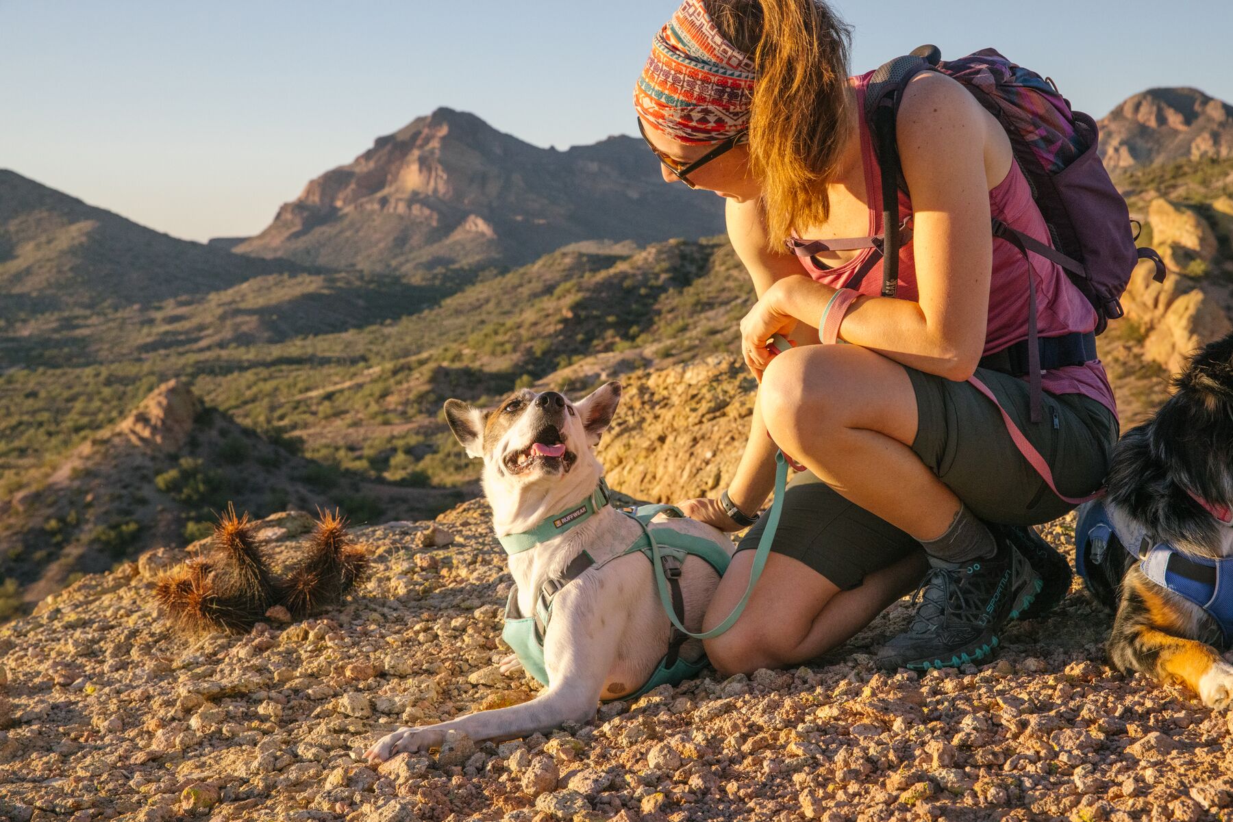 RuffWear Swamp Cooler™ Harness Sage Green