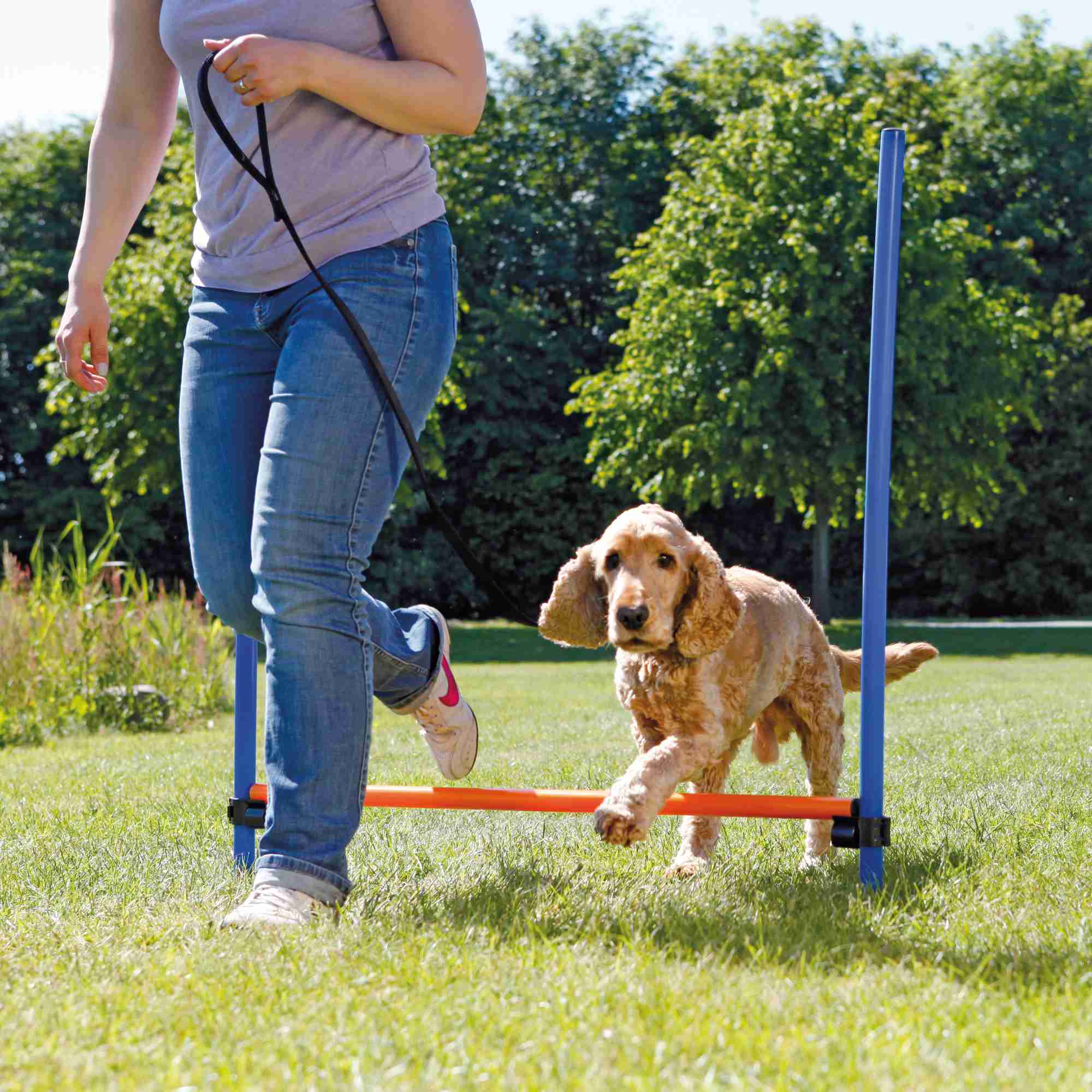 Trixie Dog Activity Agility Hürde, Kunststoff 123 × 115cm / ø 3cm, blau/orange