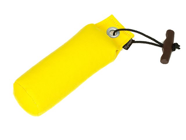 Mystique Dummy Standard