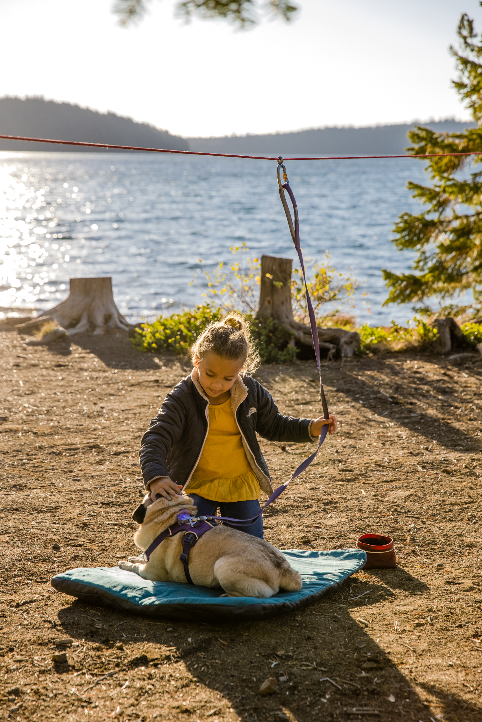 RuffWear Knot-a-Hitch™ Red Clay