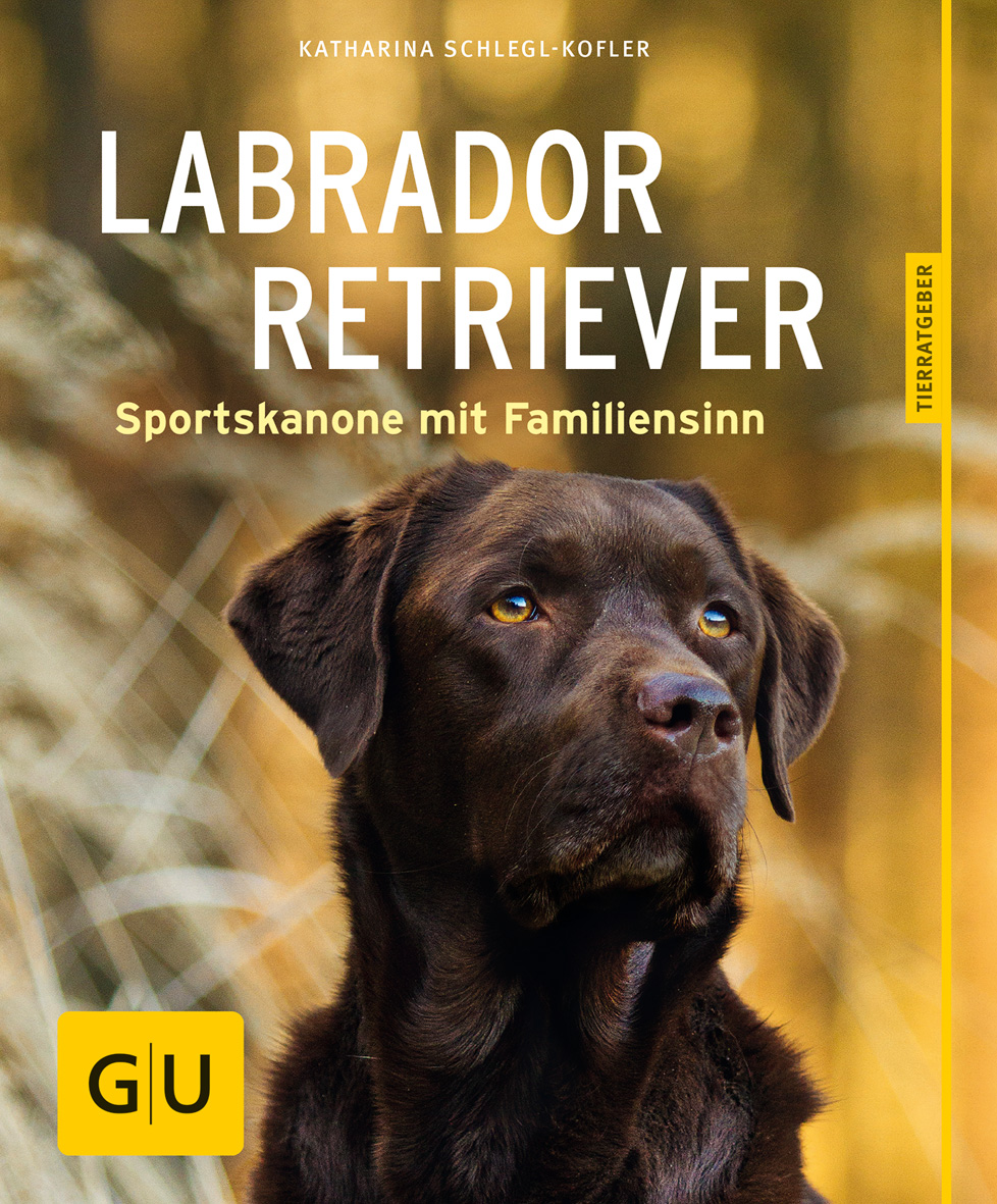 GU - Labrador Retriever [Katharina Schlegl-Kofler]