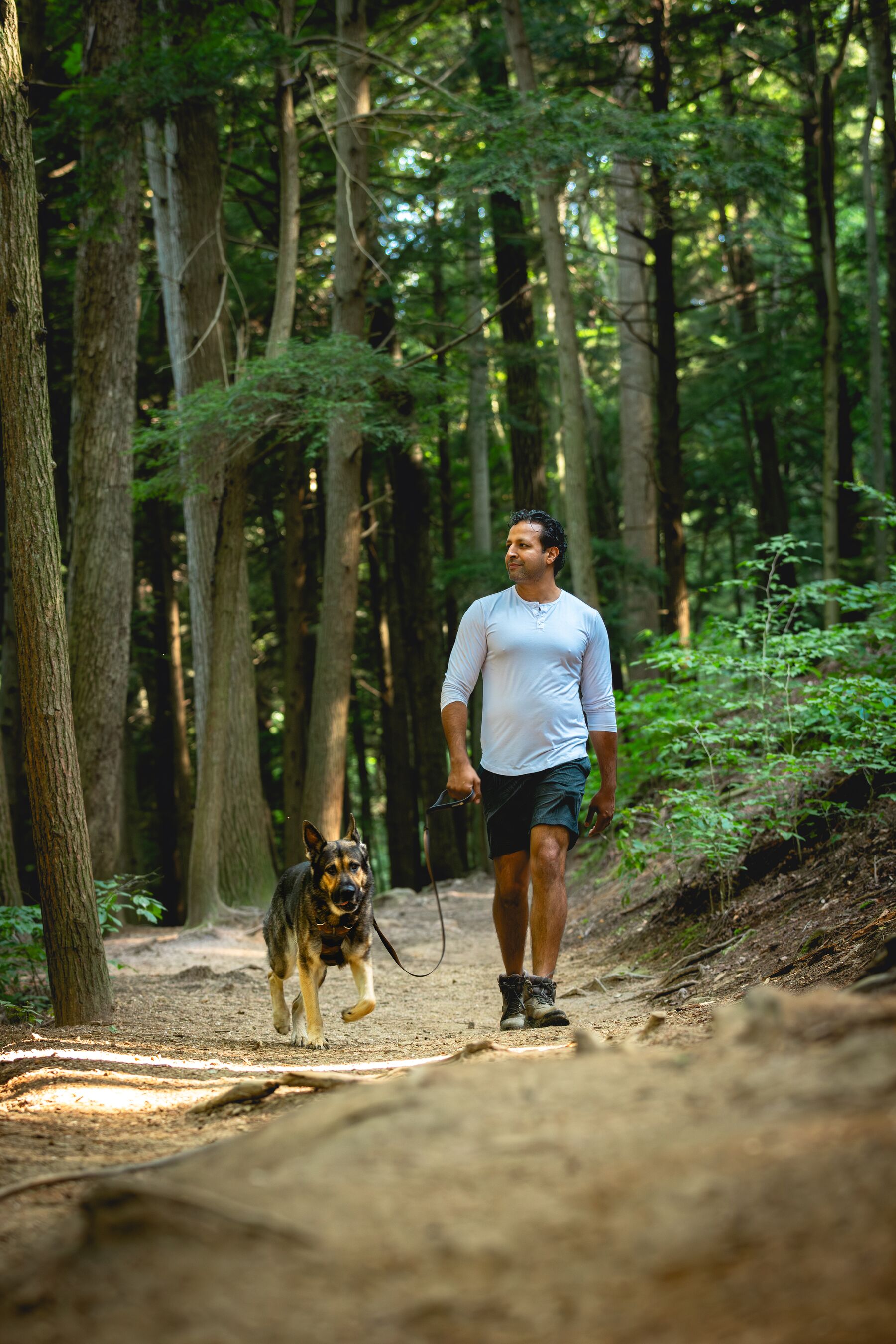 Ruffwear Front Range® Harness Moonlight Mountains