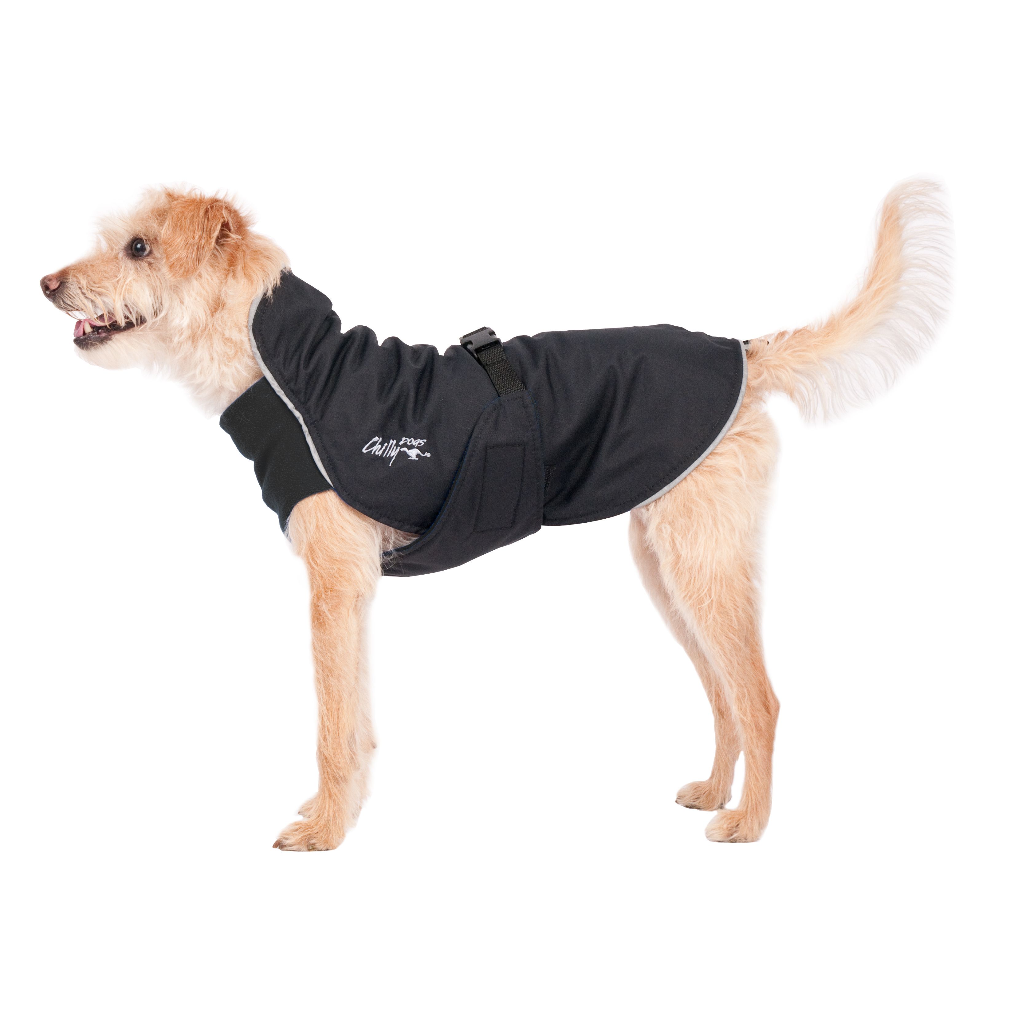 Chilly Dogs Harbour Slicker STANDARD
