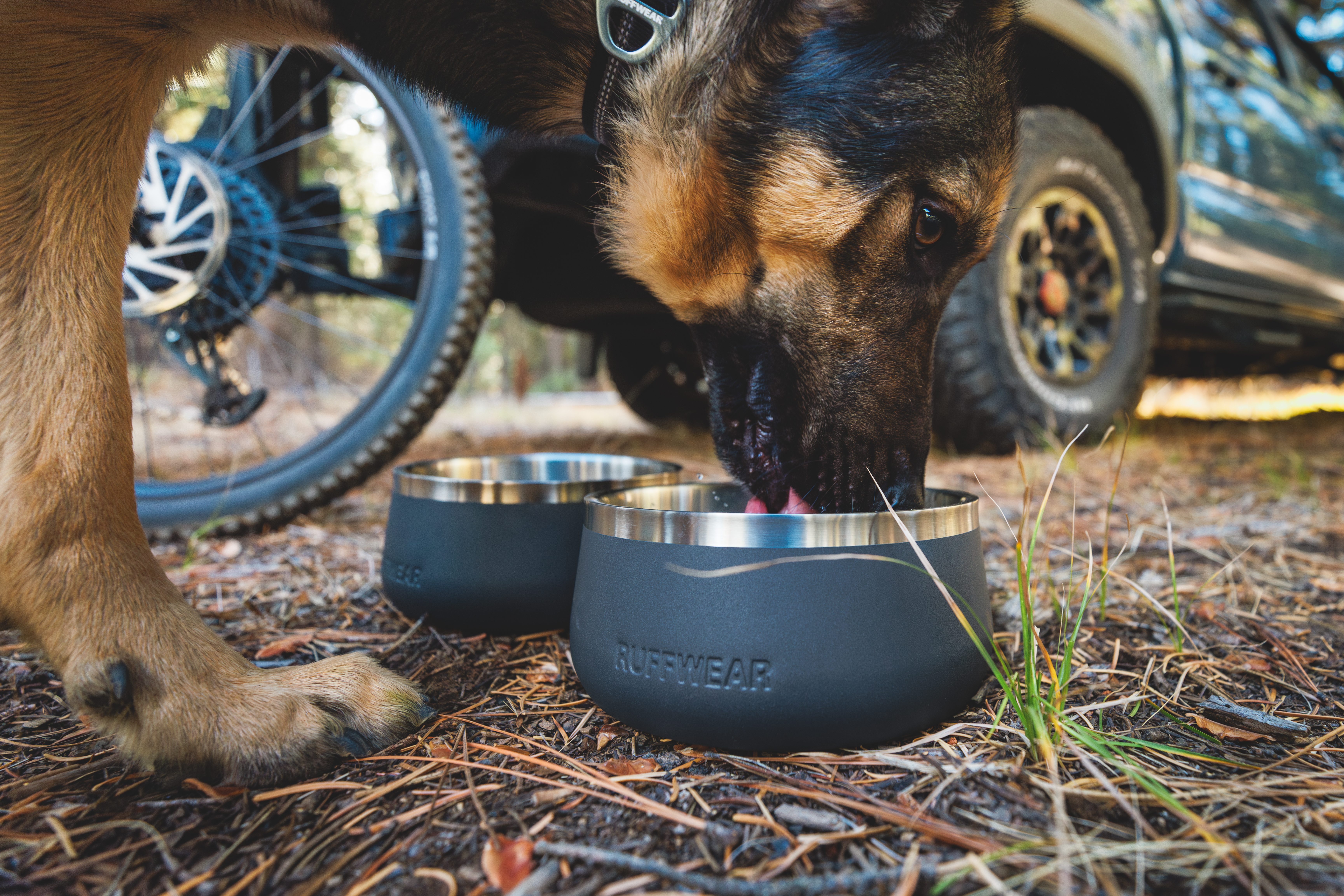 Ruffwear Basecamp™ Bowl