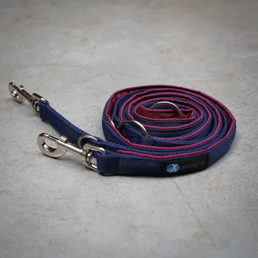 annyx Führleine Classic Bolt Fun bordeaux / wunschblau (Limited Edition)