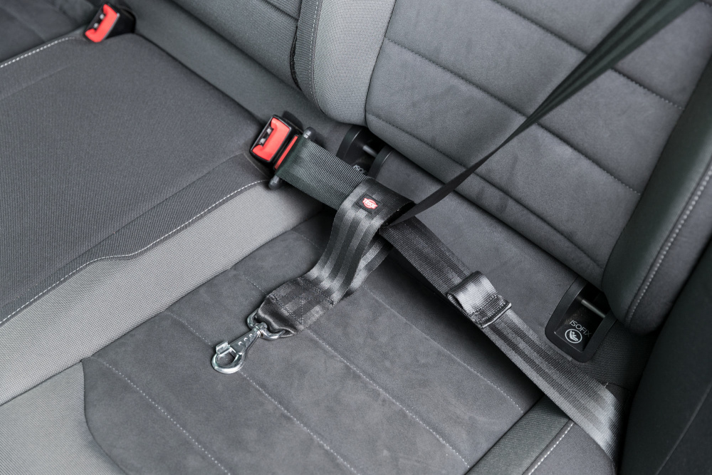 Trixie Anschnallschlaufe universal 30cm/45mm