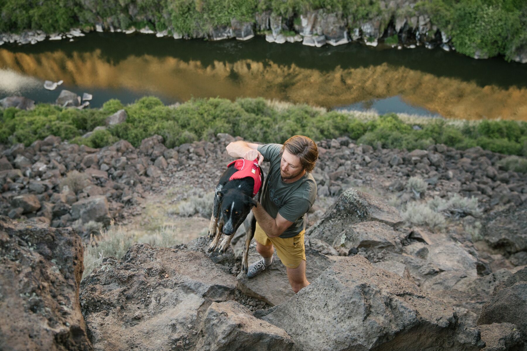 Ruffwear Web Master Harness Blue Dusk