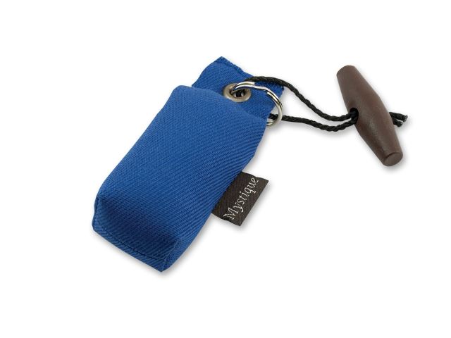 Mystique Mini Dummy Key case