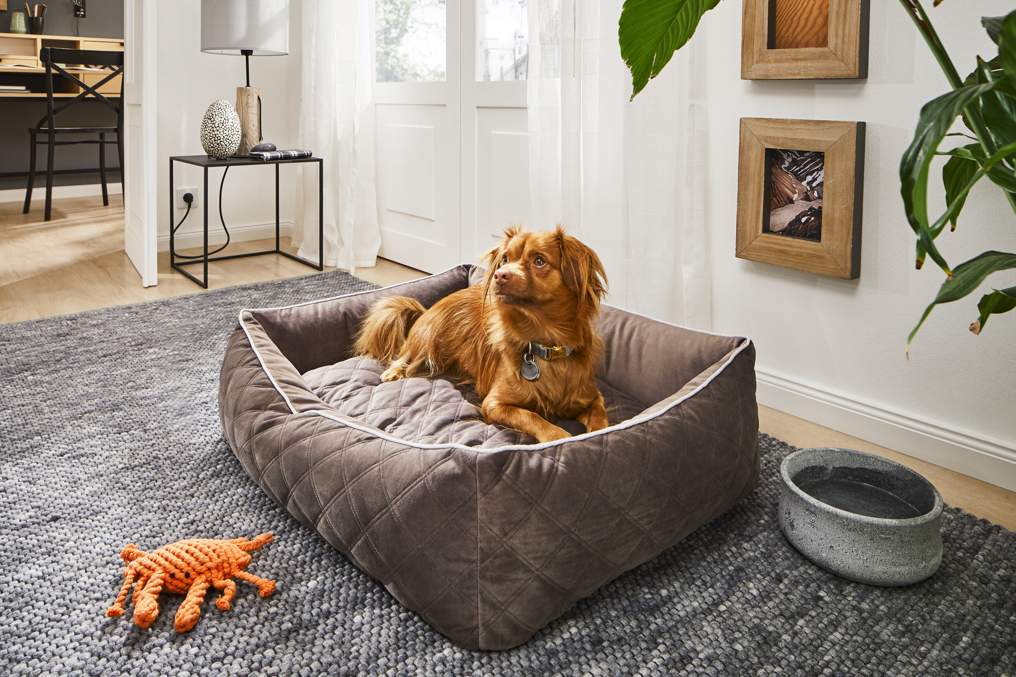 Laboni Hundebett OXFORD