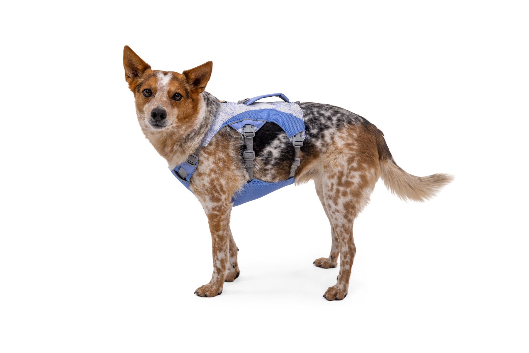 RuffWear Swamp Cooler™ Harness Heliotrope Purple