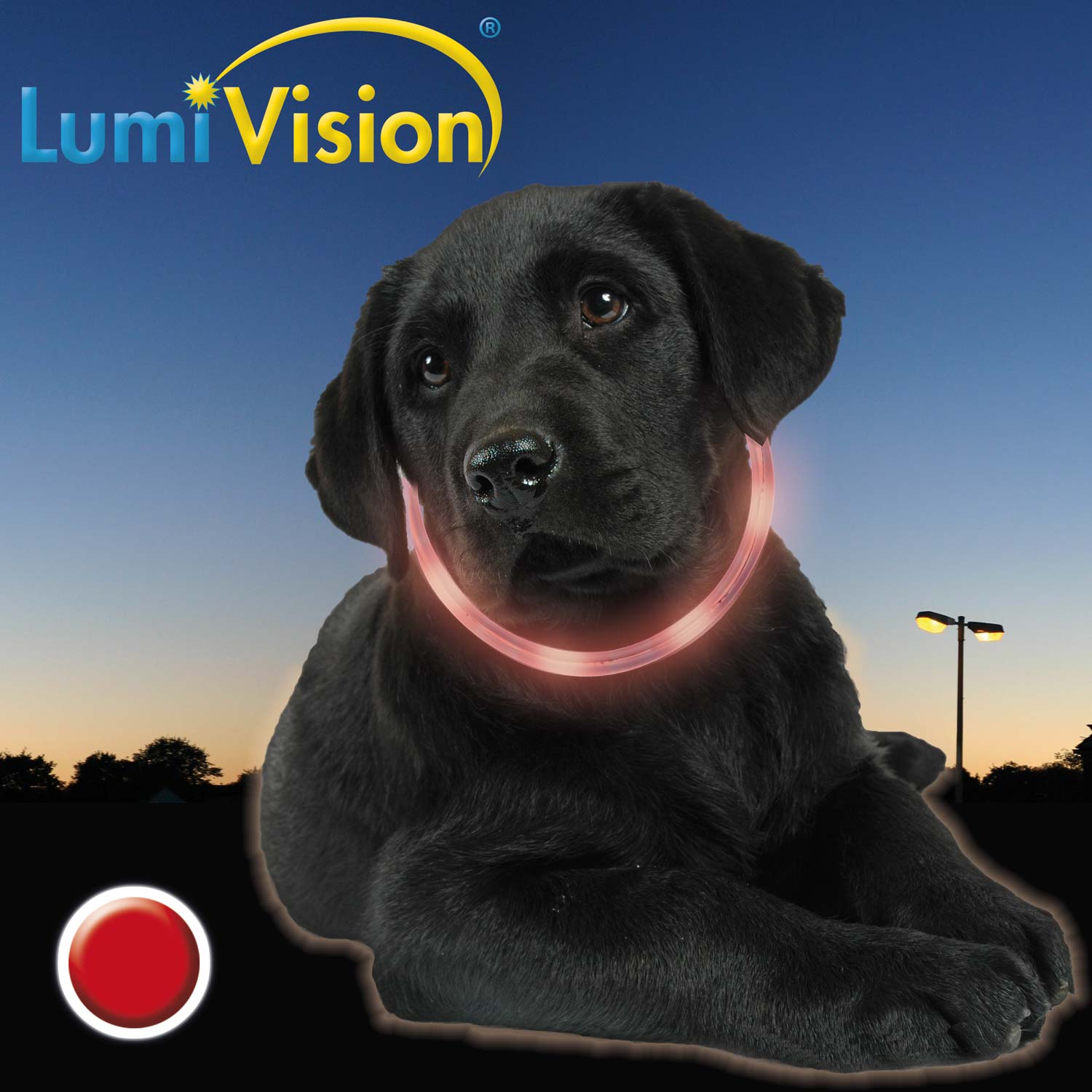 LumiVision Leuchthalsband rot