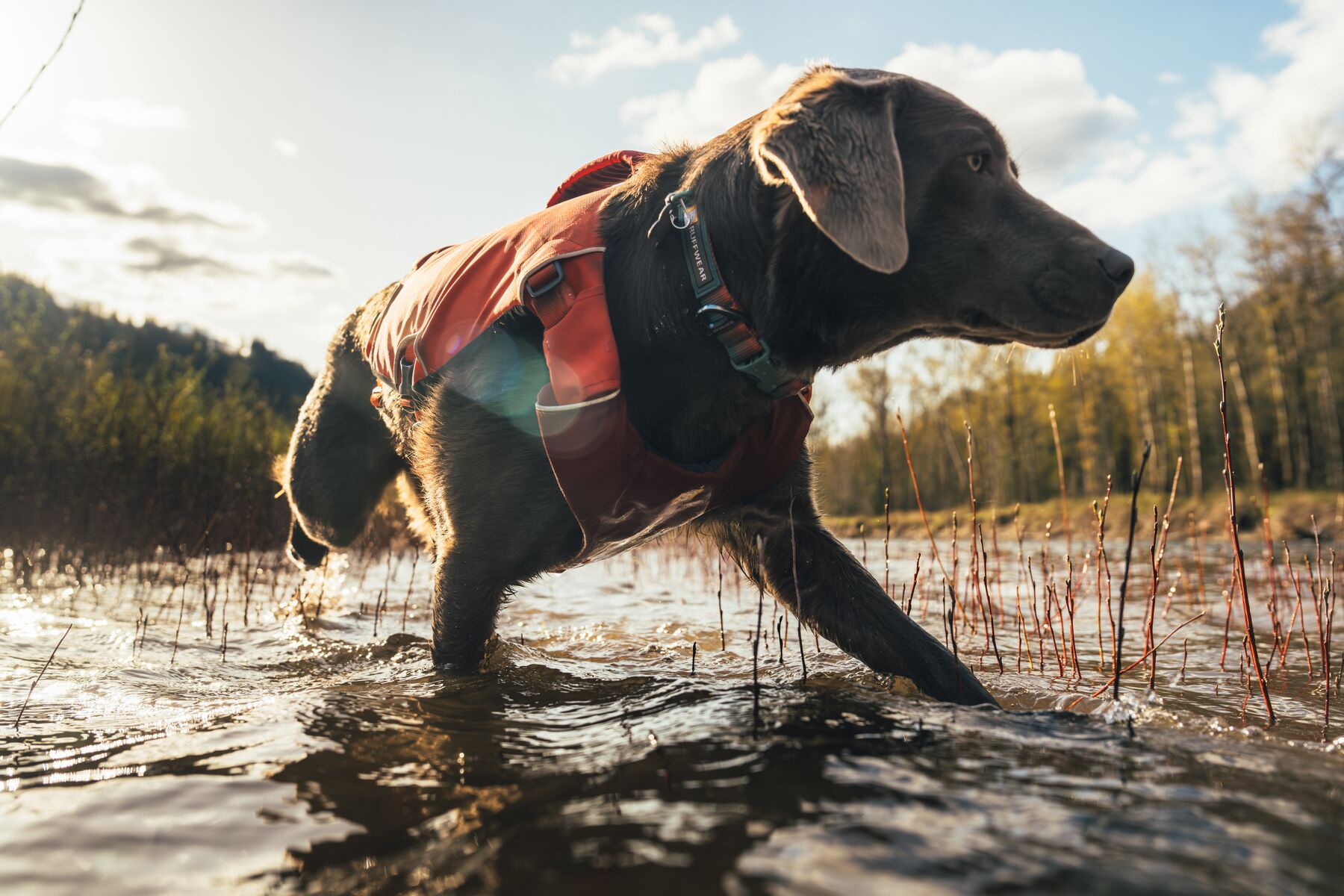 Ruffwear Confluence™ Support Jacket Tangelo Orange Ruffwear Confluence™ Support Jacket Tangelo Orange