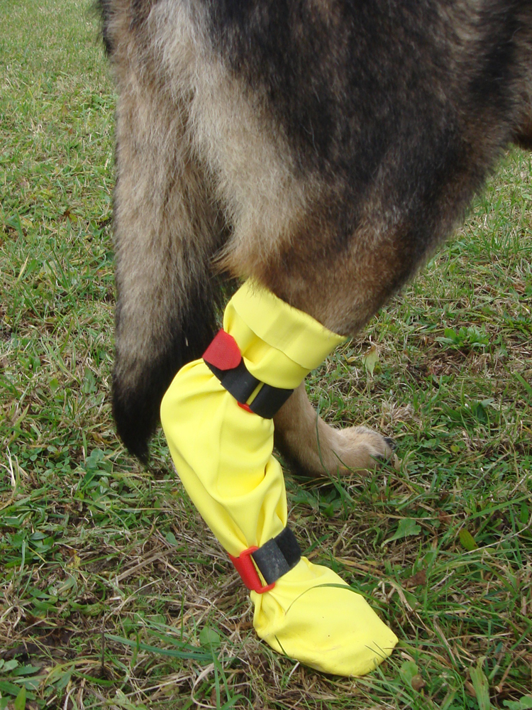 DogGusti® Strumpf aus Naturlatex