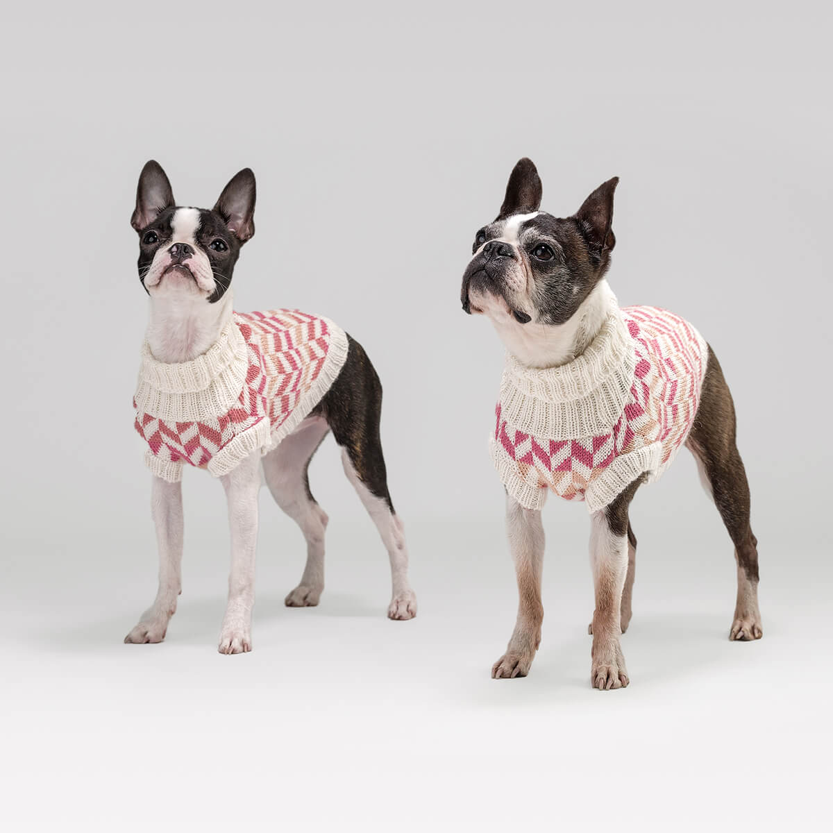 Alqo Wasi Hunde-Pullover Herringbone Pink