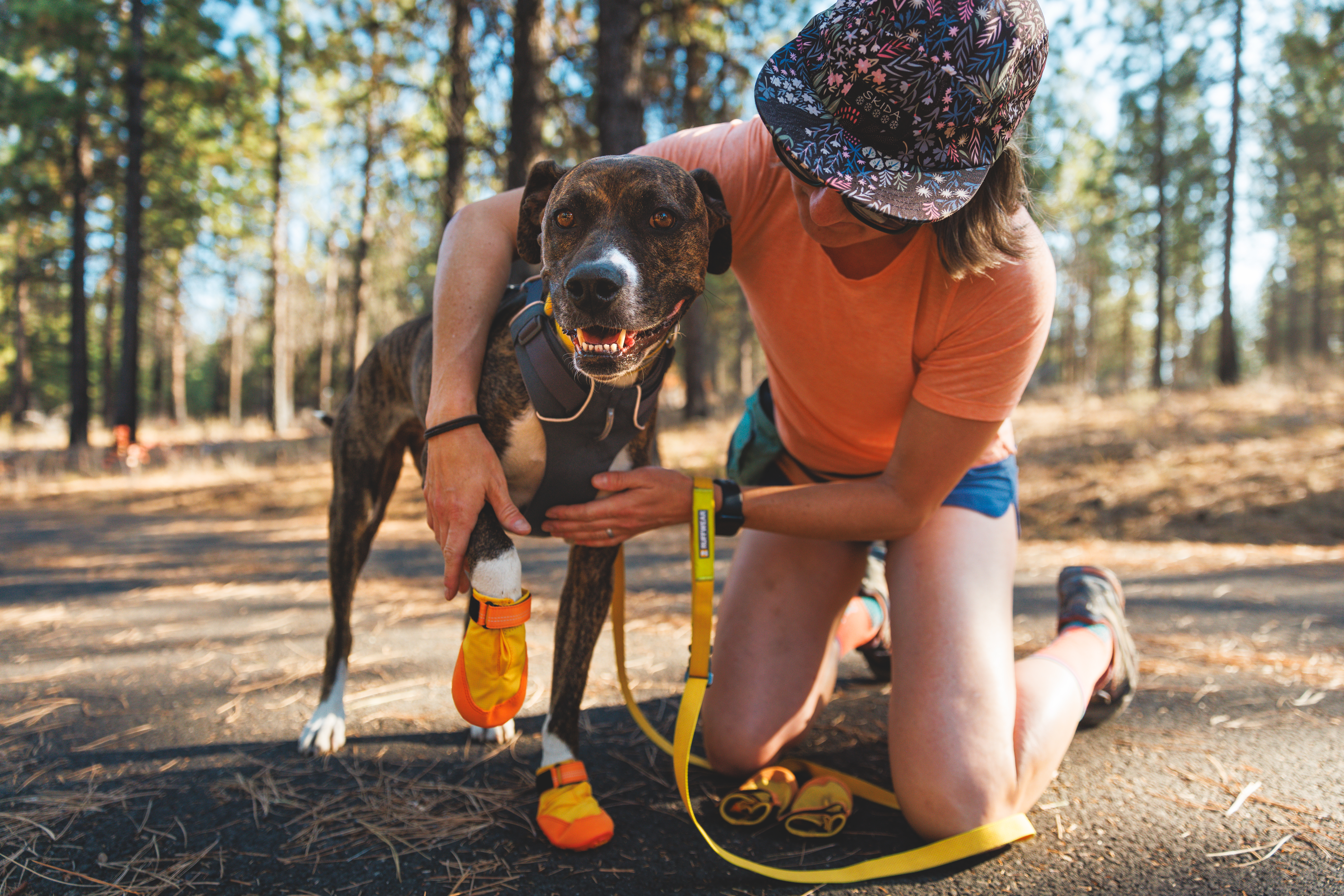 Ruffwear Summit Trex™ - box of 2 - Sunrise Yellow