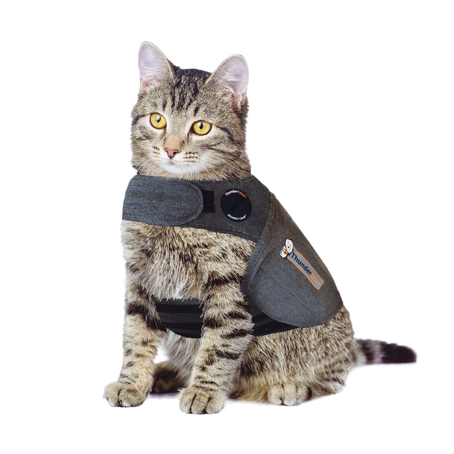 Thundershirt (für Katzen)