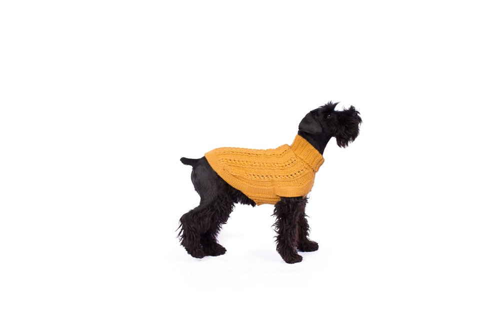 Alqo Wasi Hunde-Pullover Bohemian Cable Knit - Mustard