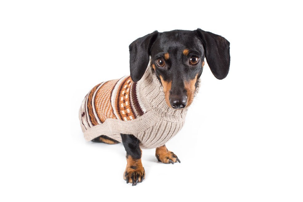 Alqo Wasi Hunde-Pullover Enchanted Meadow