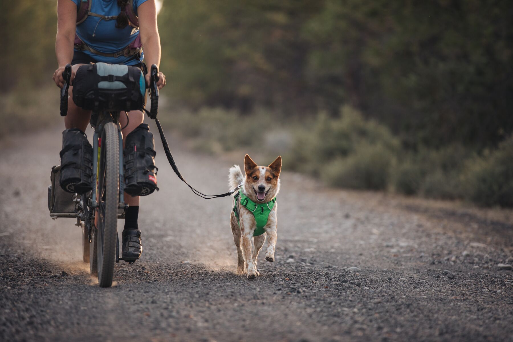 RuffWear Roamer™ Leash