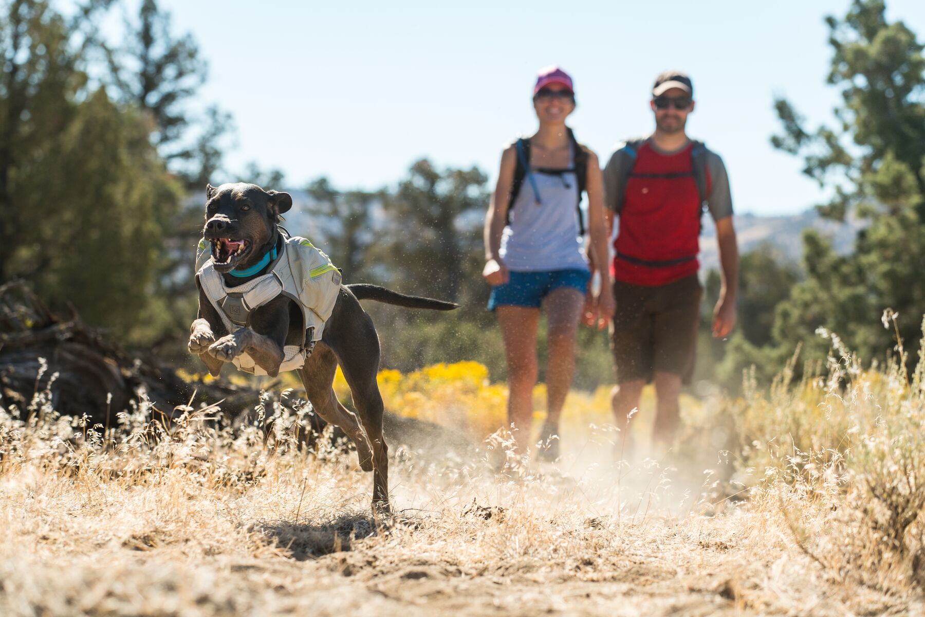 Ruffwear Core Cooler Graphite Gray