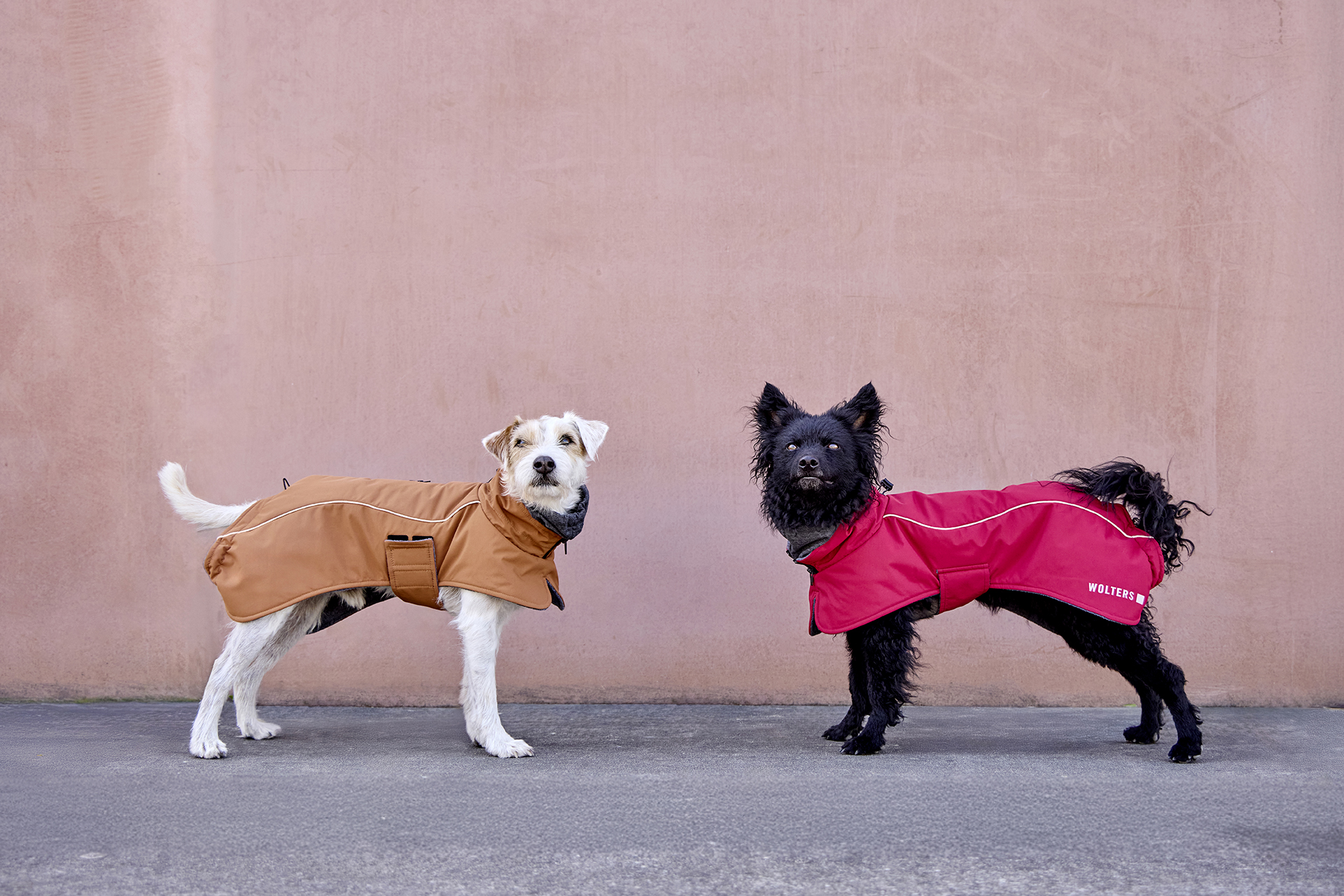 Wolters Cape Adventure