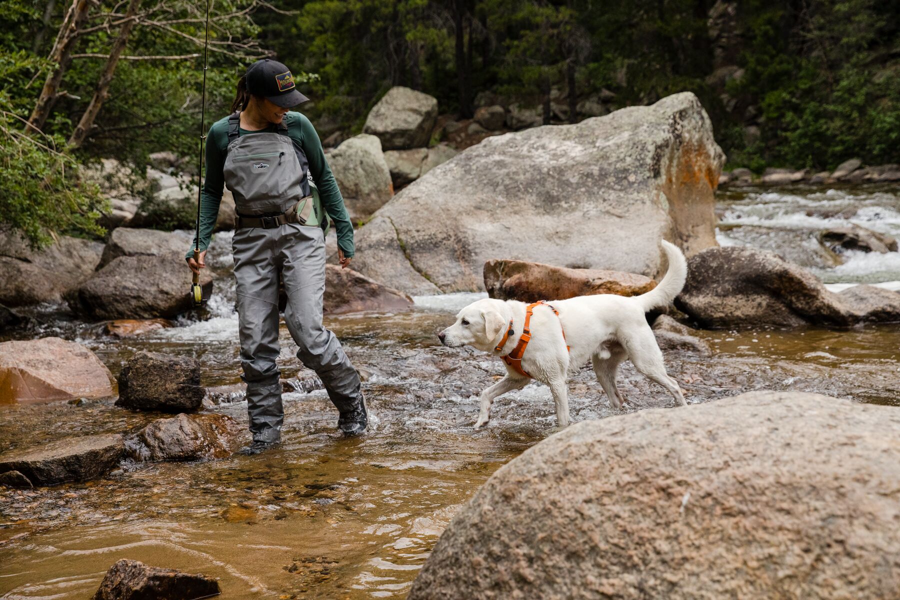 Ruffwear Front Range Collar