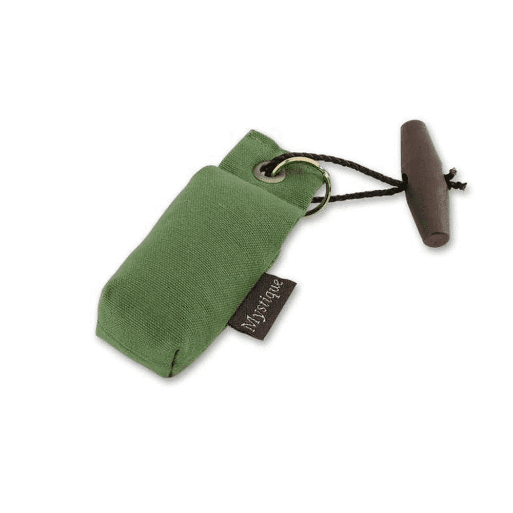 Mystique Mini Dummy Key case