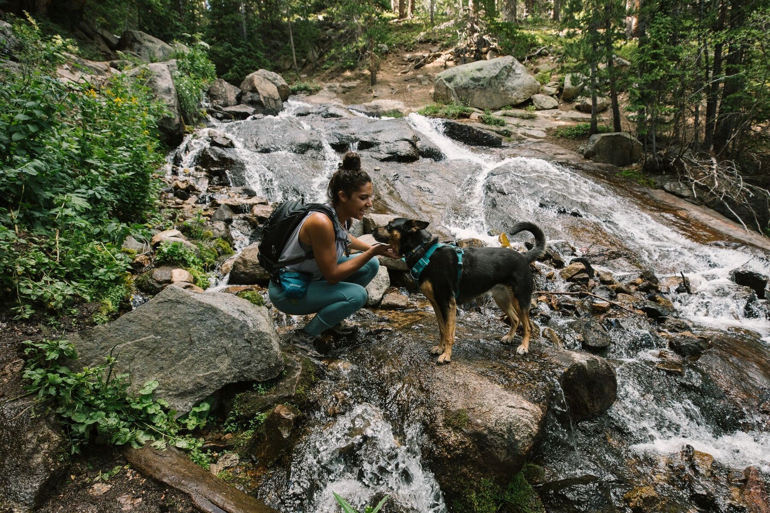 Ruffwear Front Range Harness Tumalo Teal Ruffwear Front Range Harness Tumalo Teal