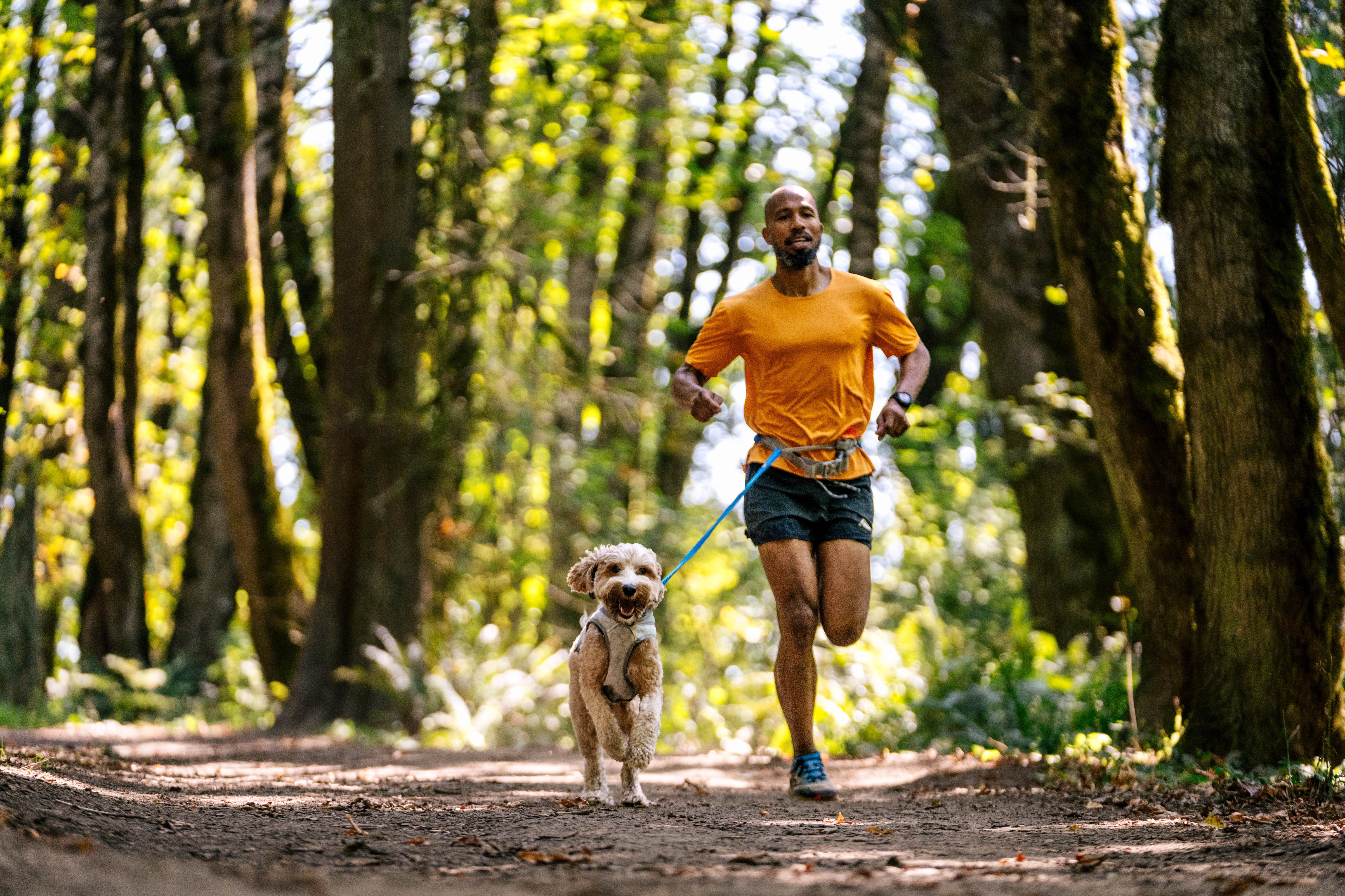 Ruffwear Swamp Cooler™ Vest Graphite Gray
