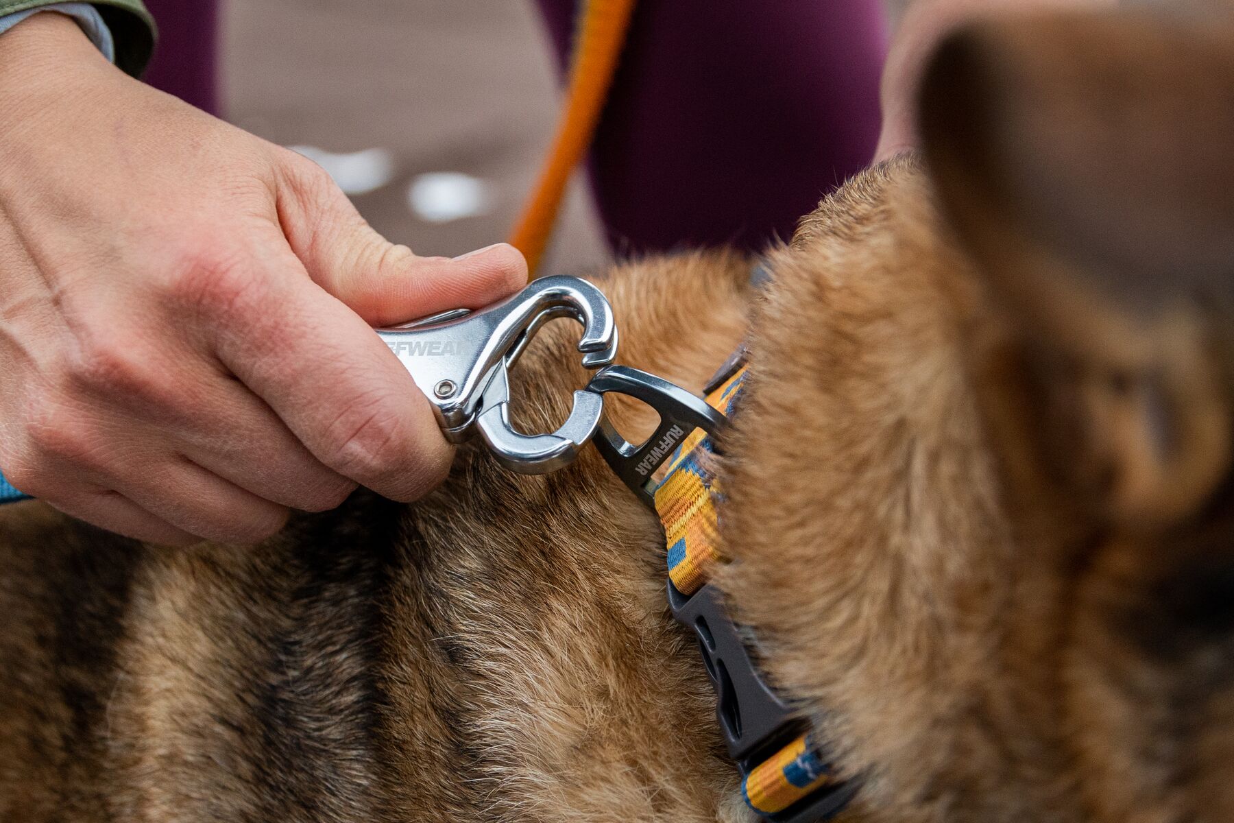 RuffWear Roamer™ Leash Yellow Snow