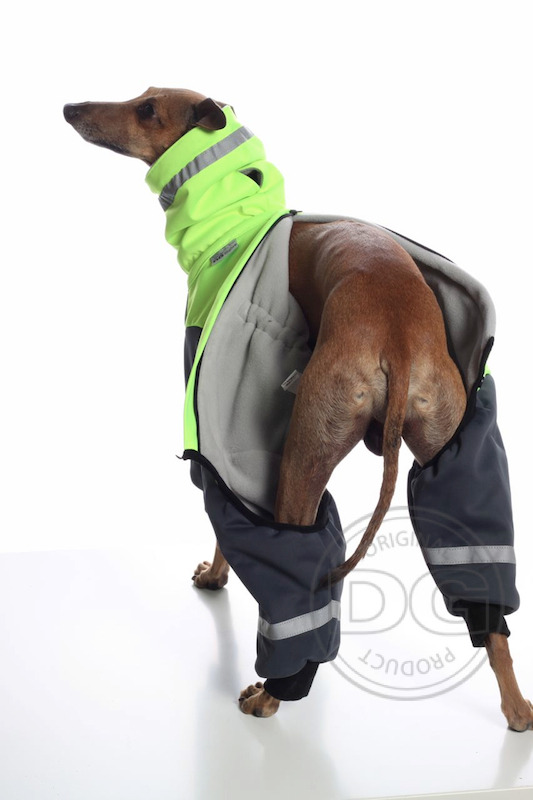 DG DogGear Ninja Supreme DG DogGear Ninja Supreme