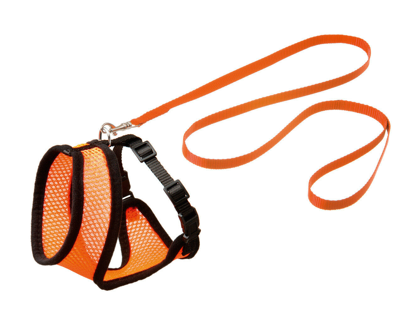 Karlie Kätzchengarnitur Harms