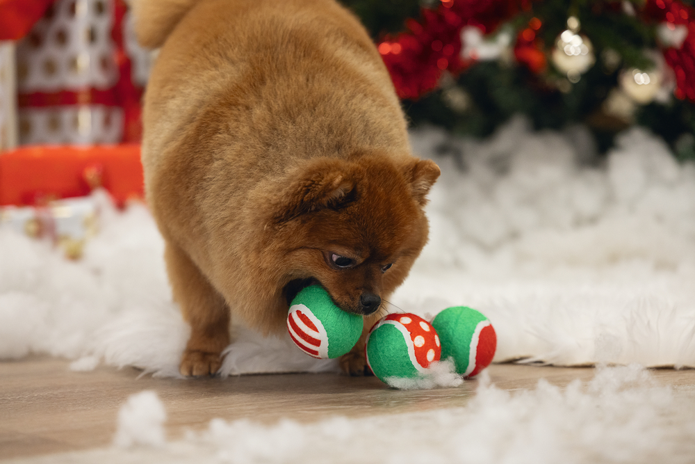 Beeztees Hundespielzeug Weihnachtstennisbälle ⌀6,3cm 3 St.