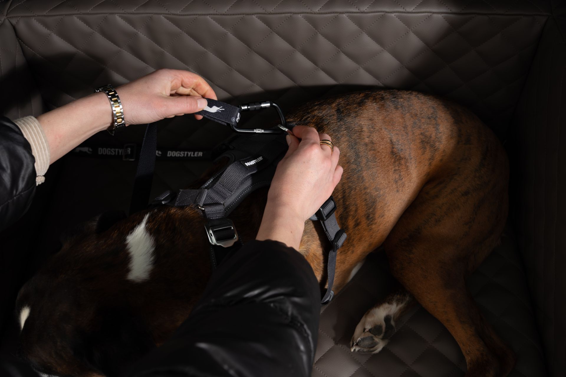Dogstyler Click & Safety Hundesicherheits-Gurtsystem für den Kofferraum M/L