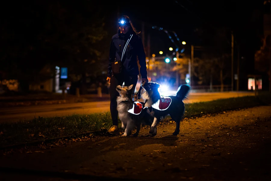Non-stop dogwear Reflective Vest