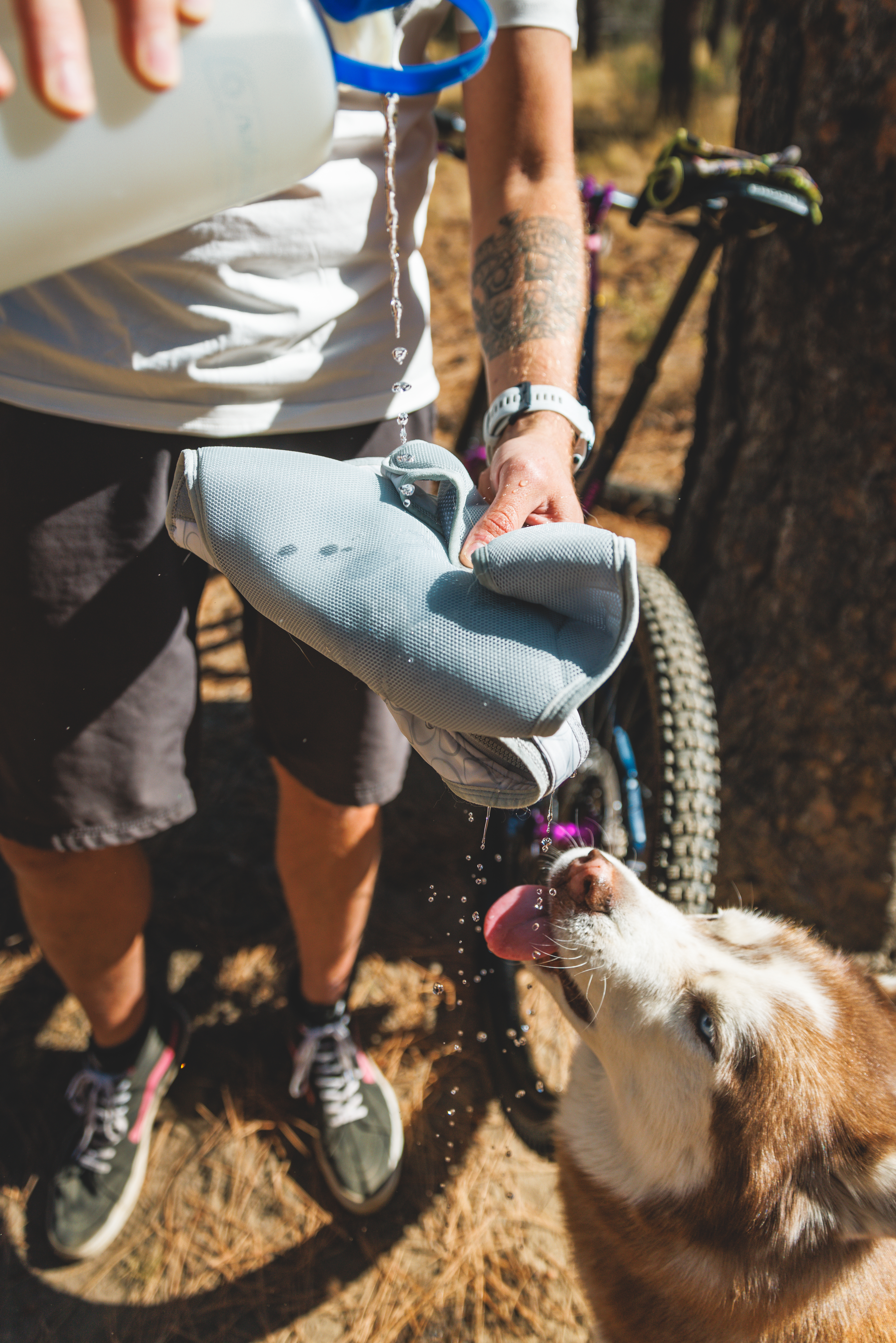 Ruffwear Swamp Cooler Zip™ Vest Graphite Gray
