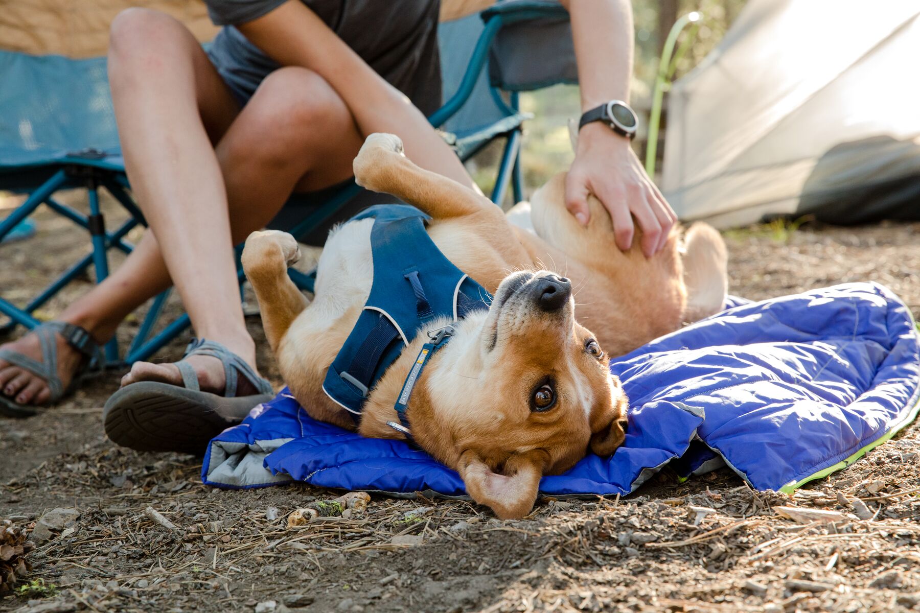 Ruffwear Highlands Sleeping Bag Huckleberry Blue