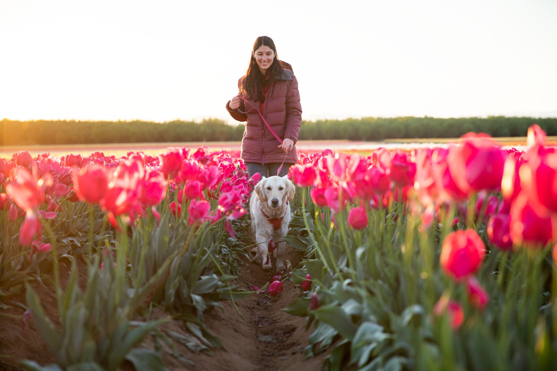 RuffWear Front Range™ Leash (one size) RuffWear Front Range™ Leash (one size)