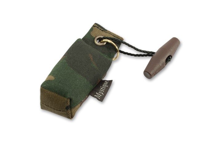 Mystique Mini Dummy Key case