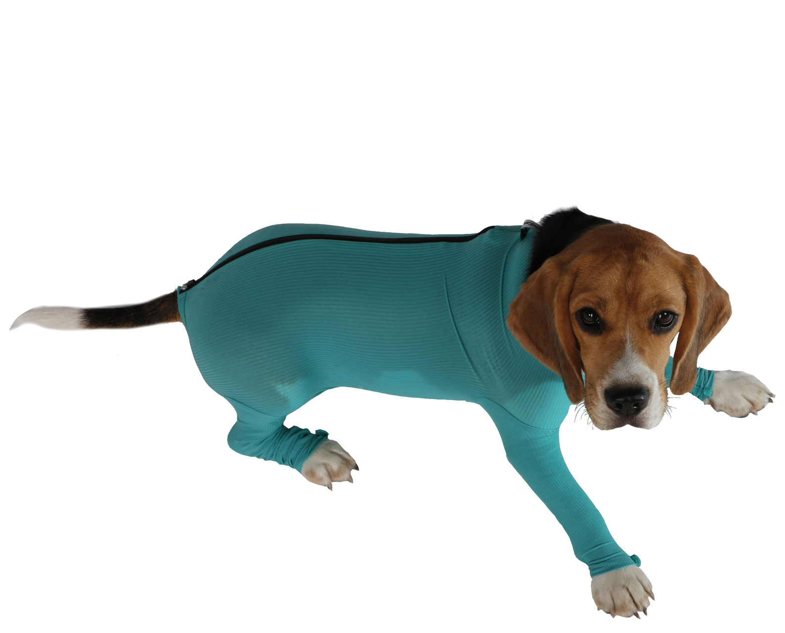 VetMedCare Dog Body mit 4 Beinen und Zipper